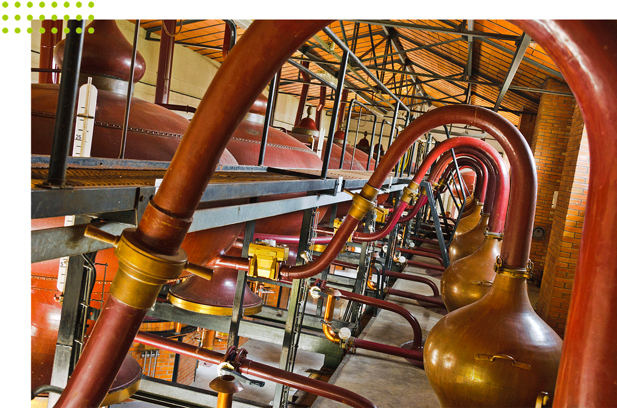 Distillation Tiffon Braastad à Jarnac avec Trot'z Ride