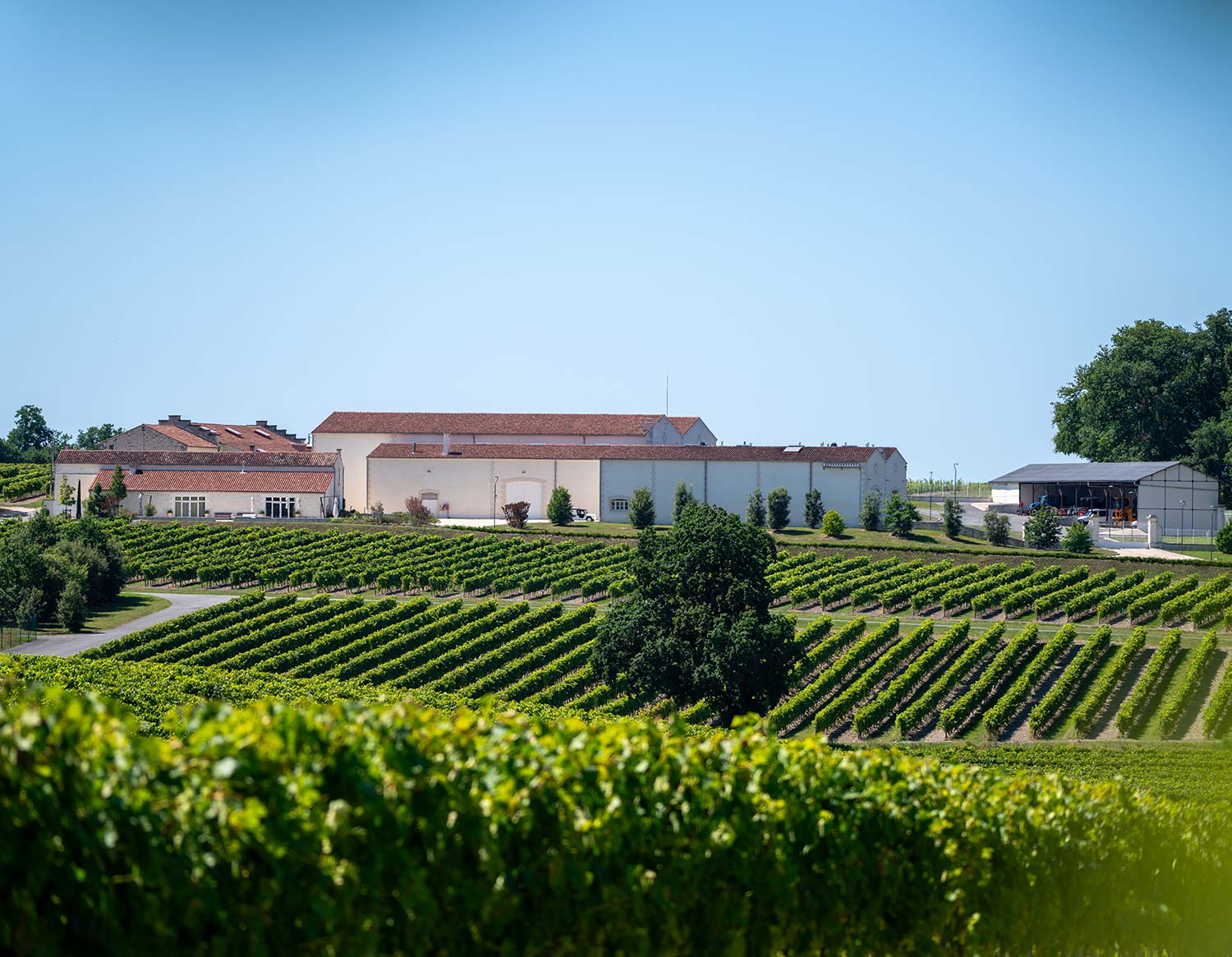 Domaine Rémy Martin pour la balade en trottinette