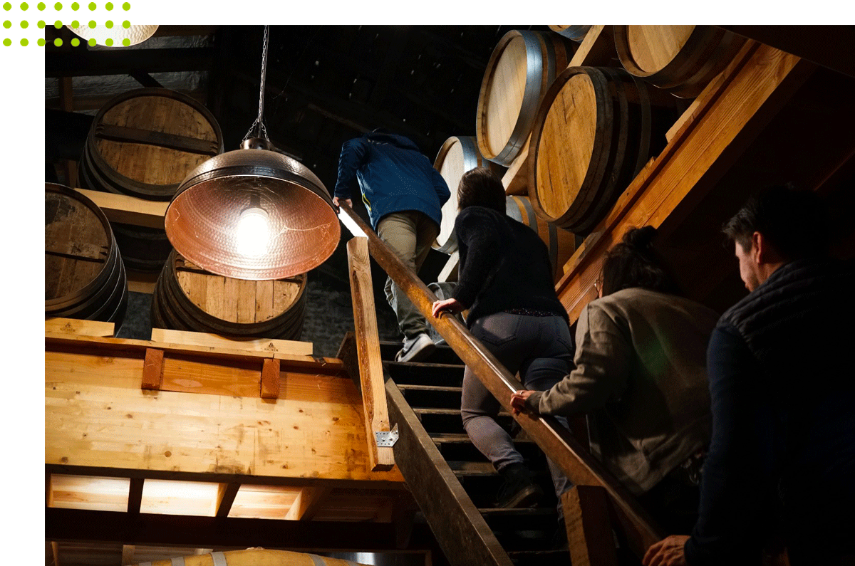 Visite et dégustation Cognac Voyer et Vaudon