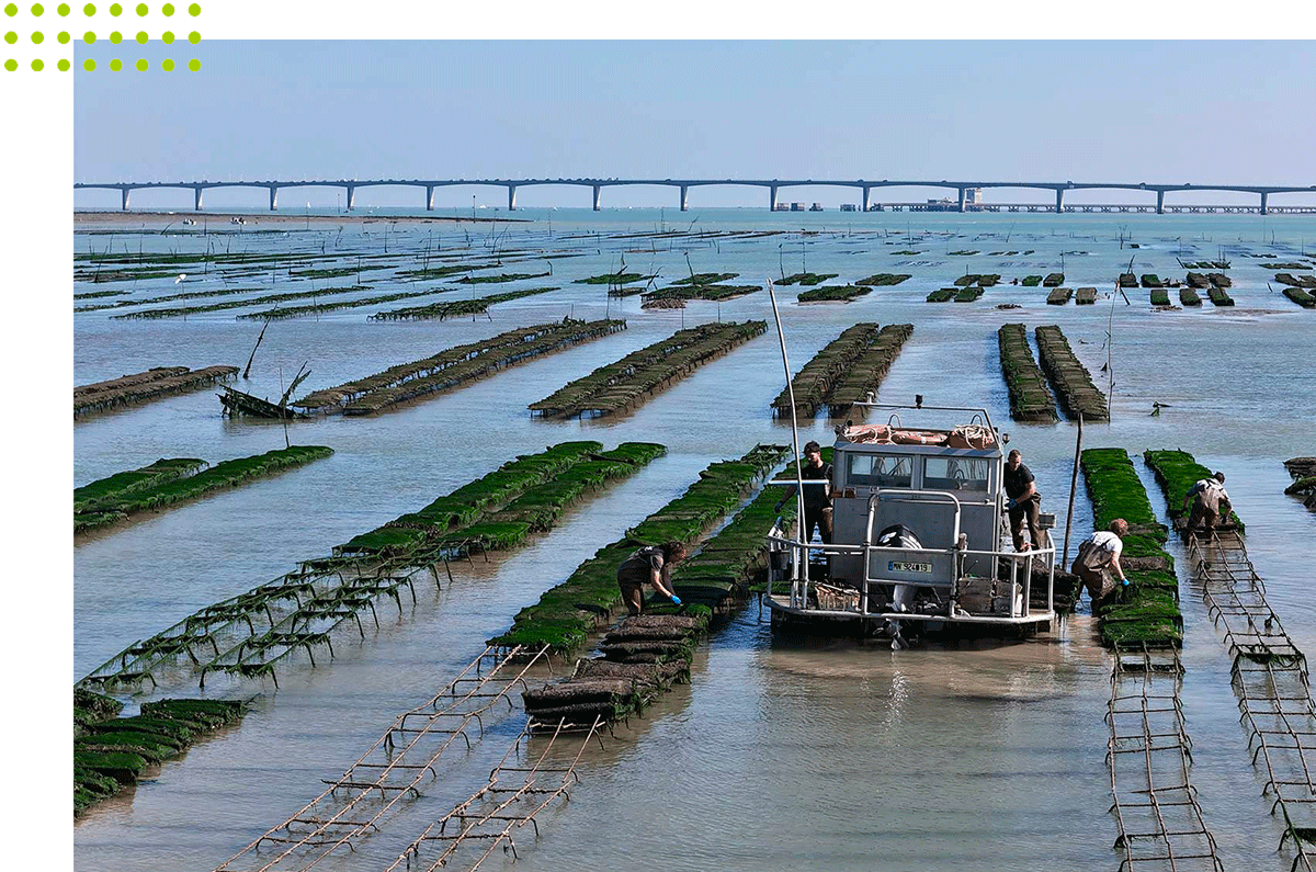 Séminaire Trot’z Ride x Les Huîtres Geay